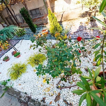 Devin Coworking & Coliving Apartment Bagian luar foto